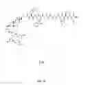 Fig. 10 - Gastrin releasing peptide compounds