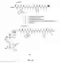 Fig. 13 - Gastrin releasing peptide compounds
