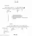 Fig. 16 - Gastrin releasing peptide compounds