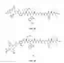Fig. 22 - Gastrin releasing peptide compounds