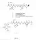 Fig. 24 - Gastrin releasing peptide compounds