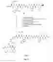 Fig. 52 - Gastrin releasing peptide compounds