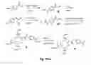 Fig. 55 - Gastrin releasing peptide compounds