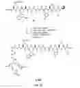 Fig. 57 - Gastrin releasing peptide compounds