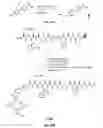 Fig. 59 - Gastrin releasing peptide compounds