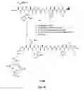 Fig. 62 - Gastrin releasing peptide compounds