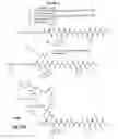 Fig. 64 - Gastrin releasing peptide compounds