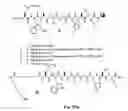Fig. 65 - Gastrin releasing peptide compounds