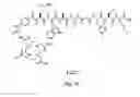 Fig. 69 - Gastrin releasing peptide compounds
