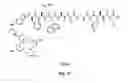 Fig. 70 - Gastrin releasing peptide compounds