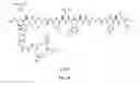 Fig. 71 - Gastrin releasing peptide compounds