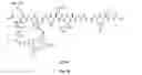Fig. 72 - Gastrin releasing peptide compounds