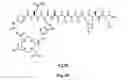 Fig. 76 - Gastrin releasing peptide compounds