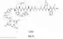Fig. 78 - Gastrin releasing peptide compounds