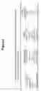 Fig. 03 - Transmucosal administration of meloxicam compositions for treating and preventing disorders in non-human domesticated animals