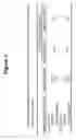 Fig. 04 - Transmucosal administration of meloxicam compositions for treating and preventing disorders in non-human domesticated animals
