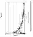 Fig. 07 - Transmucosal administration of meloxicam compositions for treating and preventing disorders in non-human domesticated animals