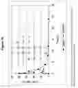 Fig. 17 - Transmucosal administration of meloxicam compositions for treating and preventing disorders in non-human domesticated animals