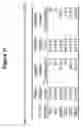 Fig. 32 - Transmucosal administration of meloxicam compositions for treating and preventing disorders in non-human domesticated animals
