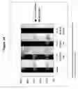 Fig. 35 - Transmucosal administration of meloxicam compositions for treating and preventing disorders in non-human domesticated animals
