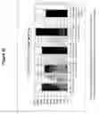 Fig. 40 - Transmucosal administration of meloxicam compositions for treating and preventing disorders in non-human domesticated animals