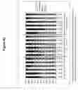 Fig. 43 - Transmucosal administration of meloxicam compositions for treating and preventing disorders in non-human domesticated animals