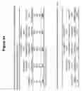 Fig. 45 - Transmucosal administration of meloxicam compositions for treating and preventing disorders in non-human domesticated animals