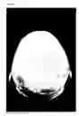 Fig. 02 - Methods for stimulating hair growth by administering BMPs
