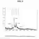 Fig. 04 - Polymer-based compositions and conjugates of antimicrobial agents