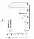 Fig. 05 - Rapid one-step generation of antigen loaded dendritic cell vaccine from precursors