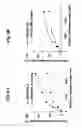 Fig. 07 - Rapid one-step generation of antigen loaded dendritic cell vaccine from precursors