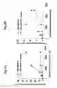 Fig. 09 - Rapid one-step generation of antigen loaded dendritic cell vaccine from precursors