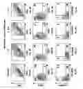 Fig. 10 - Rapid one-step generation of antigen loaded dendritic cell vaccine from precursors