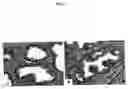 Fig. 02 - Compositions and methods of use of targeting peptides for diagnosis and therapy of human cancer