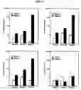 Fig. 05 - Compositions and methods of use of targeting peptides for diagnosis and therapy of human cancer
