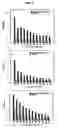 Fig. 06 - Compositions and methods of use of targeting peptides for diagnosis and therapy of human cancer