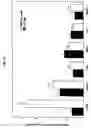 Fig. 17 - Compositions and methods of use of targeting peptides for diagnosis and therapy of human cancer