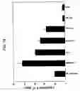Fig. 19 - Compositions and methods of use of targeting peptides for diagnosis and therapy of human cancer