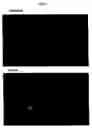 Fig. 23 - Compositions and methods of use of targeting peptides for diagnosis and therapy of human cancer