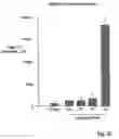 Fig. 24 - Compositions and methods of use of targeting peptides for diagnosis and therapy of human cancer