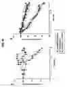 Fig. 27 - Compositions and methods of use of targeting peptides for diagnosis and therapy of human cancer