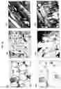Fig. 31 - Compositions and methods of use of targeting peptides for diagnosis and therapy of human cancer