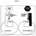 Fig. 32 - Compositions and methods of use of targeting peptides for diagnosis and therapy of human cancer
