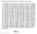 Fig. 09 - Rhesus HER2/neu, nucleotides encoding same, and uses thereof