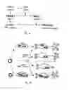 Fig. 02 - Herpesvirus amplicon particles
