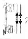 Fig. 10 - Herpesvirus amplicon particles