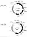 Fig. 05 - Methods for attenuating dengue virus infection