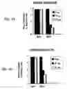 Fig. 07 - Methods for attenuating dengue virus infection