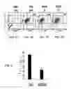 Fig. 10 - Methods for attenuating dengue virus infection