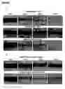 Fig. 07 - Enhancing cell migration by increasing telomerase activity